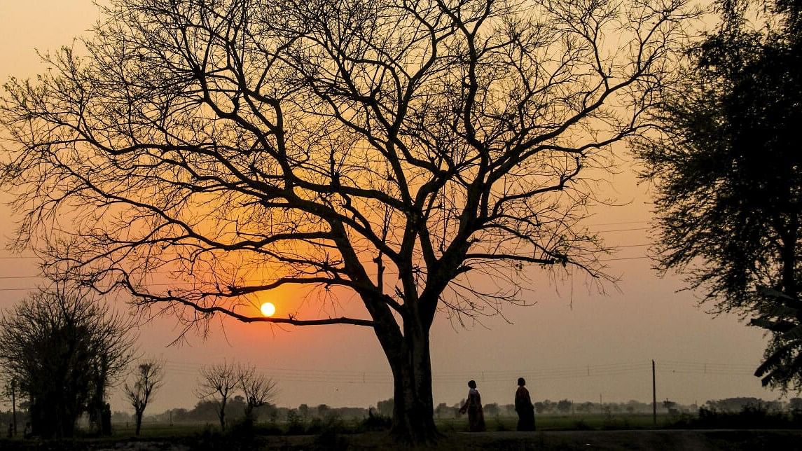 News in Pics | February 25, 2025: Best photos from around the world